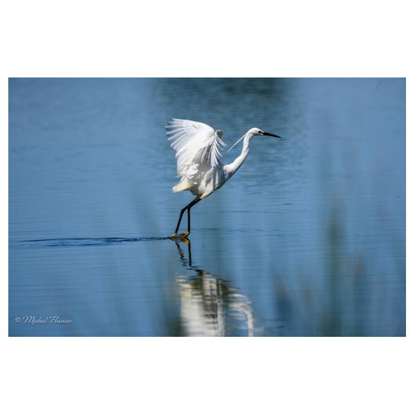 PHOTO84, CLUB, 84 , LUBERON